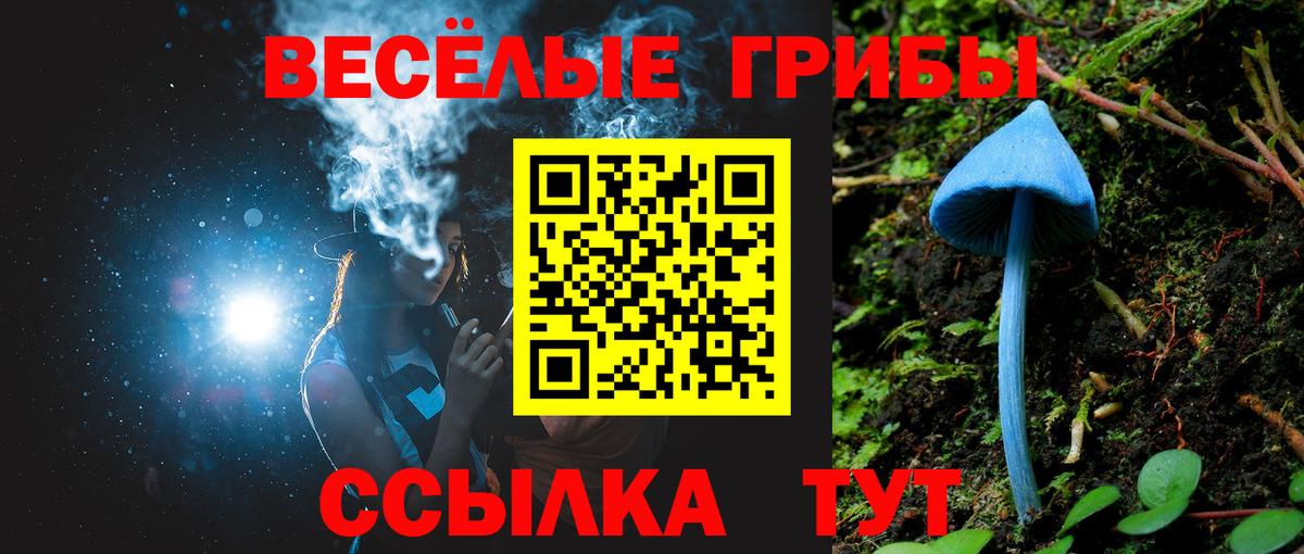 Биробиджан  Псилоцибиновые грибы прущие грибы  Вход с VPN 