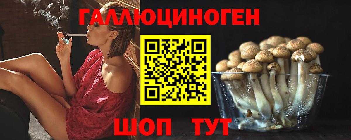 Галлюциногенные грибы мухоморы Биробиджан